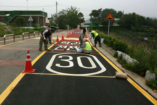 上海舜彩建材科技股份有限公司的前身是上海正迪地坪材料有限公司，是一家集研发、生产、销售、施工于一体的大型地坪及道路行业股份制高新技术企业。舜彩股份拥有上海、西安、成都、北京、广州五家生产基地，参与编制了15项国家标准和行业规范，并拥有18项产品及施工技术专利。舜彩股份总部位于世界经济金融中心----上海市，自成立以来，经过近20年的发展，上海舜彩已经成为华东地区乃至全国地坪及道路行业大的企业之一，并于2018年注册商标苏舜彩。舜彩股份的产品，严格遵照国际标准的质量管理体系及环境管理体系进行生产管理，其产品质量、施工技术均已成为国内地坪涂装及道路铺装行业参照的标准。

舜彩股份拥有近20年地坪施工及道路铺装行业丰富的专业技术经验，生产及施工的产品主要有：环氧地坪系列、聚氨酯地坪系列、防静电地坪系列、塑胶体育地坪系列、密封固化剂地坪系列、硬化耐磨地坪系列、重防腐地坪系列、彩砂地坪系列、环氧磨石地坪系列、水泥自流平浆系列、彩色防滑路面系列、生态透水混凝土系列、艺术压模压印地坪系列等产品，适合于全国各地不同客户的广泛需求。舜彩股份自成立伊始就顺利通过了ISO9001国际质量管理体系，ISO14000国际环境管理体系，ISO18000国际职业健康安全管理体系等一系列国际体系认证，始终致力于保护环境、节约能源，严格遵守各项行业及国家技术标准，始终把安全和环保放在首要位置。舜彩股份生产的材料产品，多次被评为全国工程建材首选品牌，中国著名品牌、舜彩股份更是多次被评为质量、服务、诚信AAAAA级企业、中国地坪施工及道路铺装行业好品牌，凭借多年的诚信经营、励精图治，舜彩股份已经在全国地坪施工及道路铺装行业树立了卓越的信誉和口碑。

舜彩股份目前拥有30支专业的地坪及道路施工队伍，从业人员达到300余名，所有从业人员都接受过舜彩股份的良好培训。不但我们的项目管理人员专业有素，而且稳定、专业的施工队伍和管理队伍，更是保证了舜彩股份在全国范围内同时承接施工多个大型工程。

舜彩股份的产品市场和工程服务已遍及烟草、电子、医药、食品、重工业机械、汽车行业、银行、航空、造纸、化妆品、地下停车场等社会生活的各个领域。我们成功地为广船国际、中烟集团、江淮汽车、马牌轮胎、特变电工集团、世博会展馆、比亚迪、通用电气、通用汽车、英特尔、松下电器、上海大众、三星半导体、南京紫峰大厦、万达广场、美特斯邦威、可口可乐、一汽集团、伟创力、上海电厂、秦山核电站、宝钢集团、杜邦、陶氏化学、恩华药业、韩泰轮胎、上海建工集团、恒大、新城、万科、绿地、德基、中信、金鹰等国内外著名企业提供了优质的产品及精良的施工服务。无论从产品质量、技术方案，还是到现场施工、售后服务，我们都能把每个环节做到尽善尽美。

舜彩股份依据强大的服务网络和公司实力，20年来，在全国范围内完成了超过6000项各类地坪及道路铺装工程，工程总量超过5000万平方米，并涉足非洲，澳洲，南美洲，东南亚市场。2017年，舜彩股份的营业额达到空前的4.59亿元人民币，我们的客户从民营企业到世界500强，遍布全国各地，舜彩股份用良好的产品质量和工程服务赢得了全体客户的一致好评。

近20年来，舜彩股份一直以高品质的材料产品和精良的工程服务为业界树立了典范，以严谨的想象力和高效的执行力为广大客户带来了极佳的满意服务。作为极具责任感的社会企业，舜彩股份始终坚持以客户为中心，随时随地准备为广大客户提供各种专业的技术咨询及工程服务，为广大客户解决各种各样的疑难问题，真正做到无愧于全球客户给予我们的美誉。